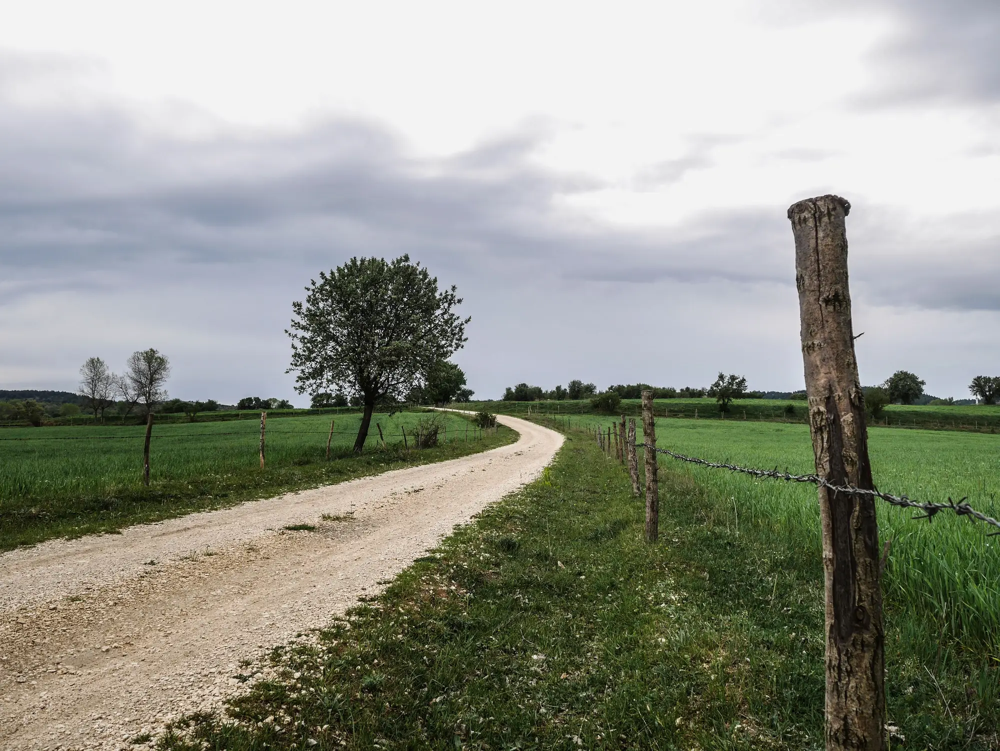 A gravel farm track running between fenced green fields under an overcast sky